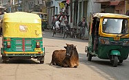 Difference_India_017.jpg