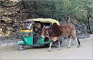 Difference_India_045.jpg