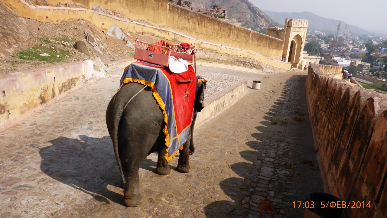 jaipur_15.jpg