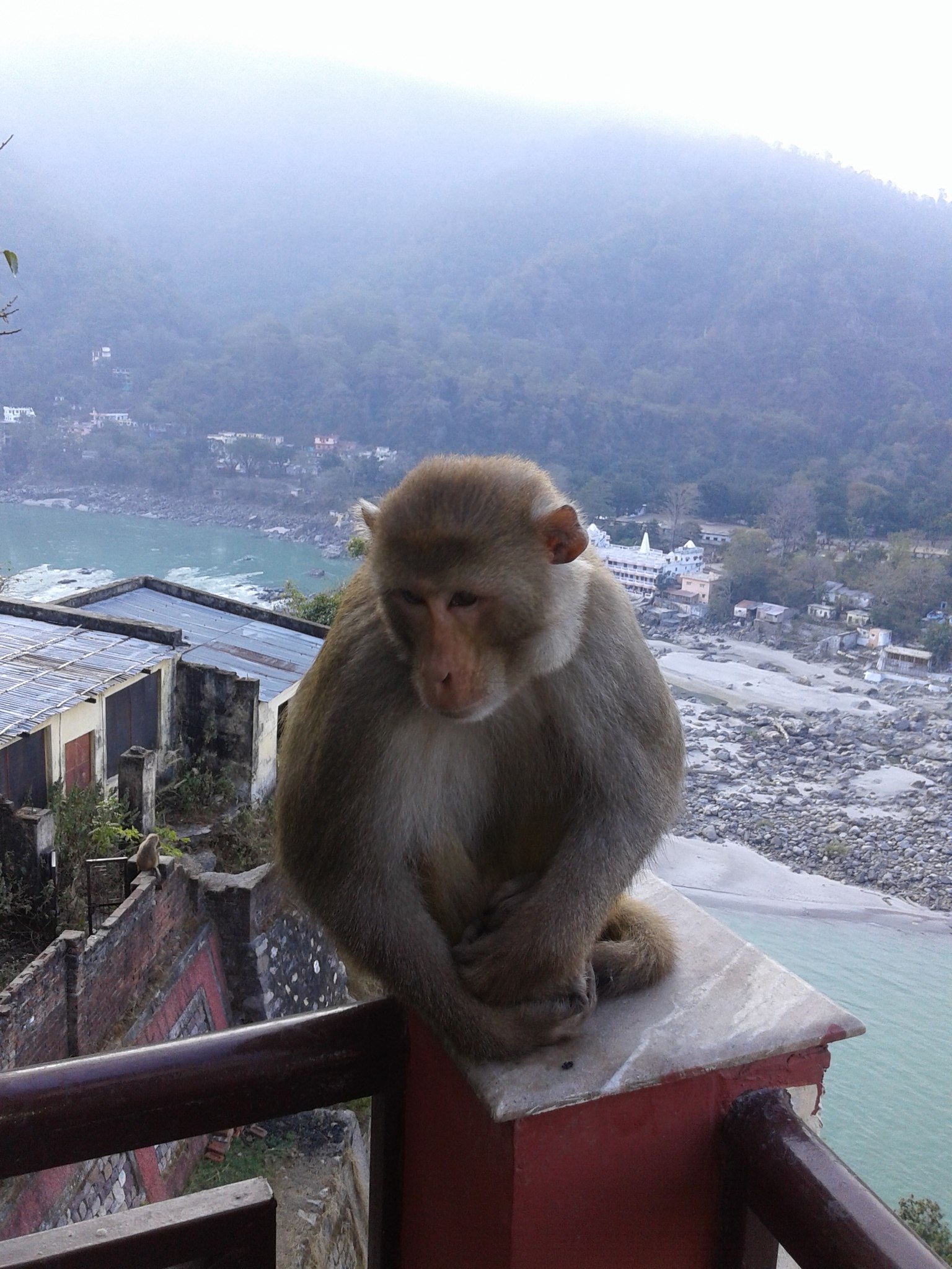 rishikesh_2.jpg